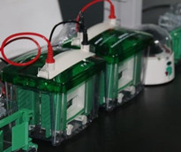 实验交给威斯腾，科研从此无忧——腺病毒实验技术服务详解