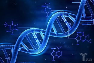 基因编辑新锐 会是下一个华大基因吗？